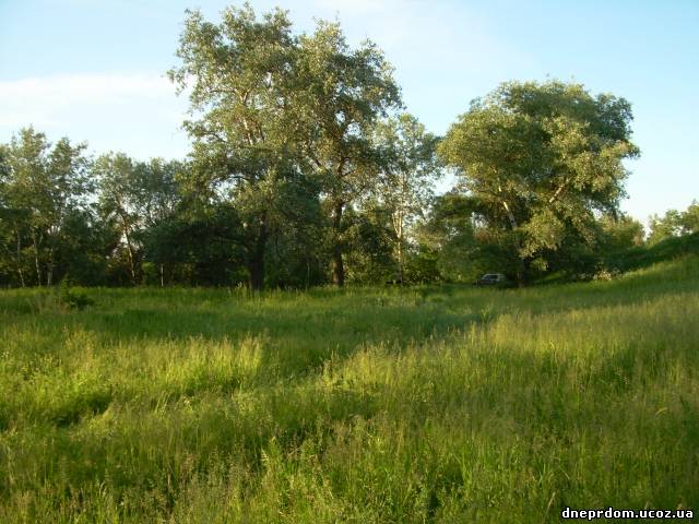 Царичанский р-н с.Могилёв